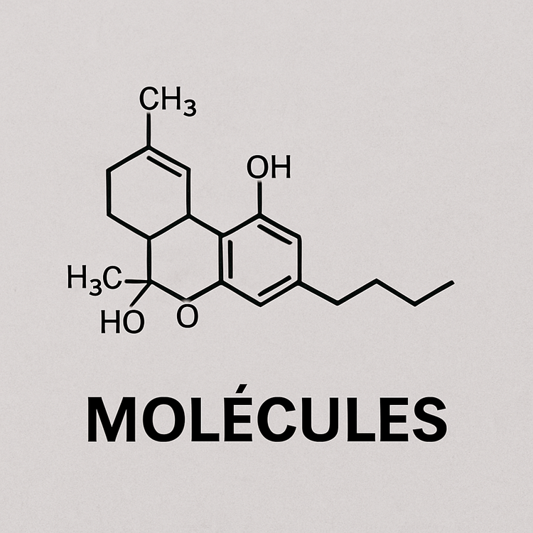 Molécules