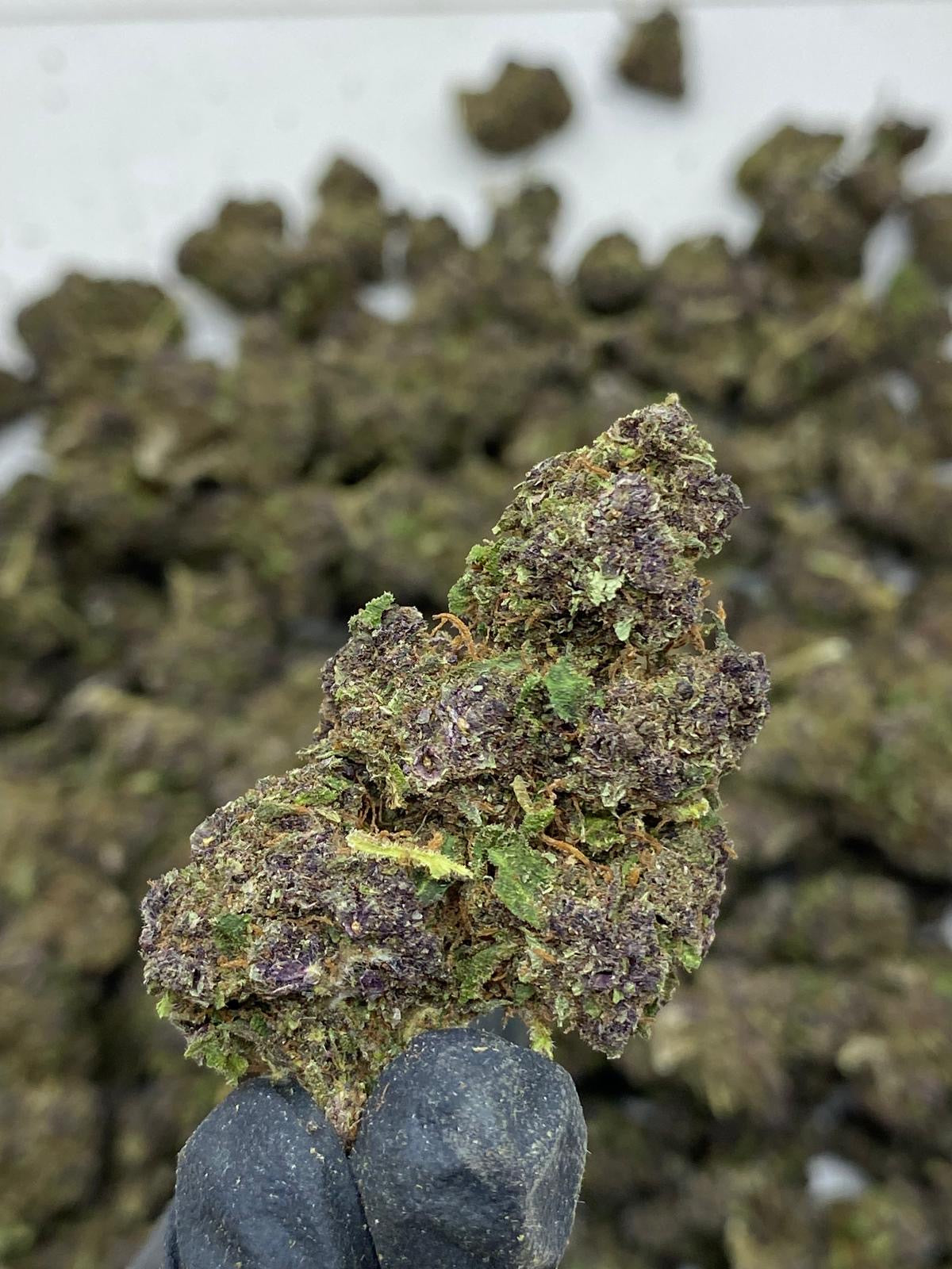 FLEURS CBD